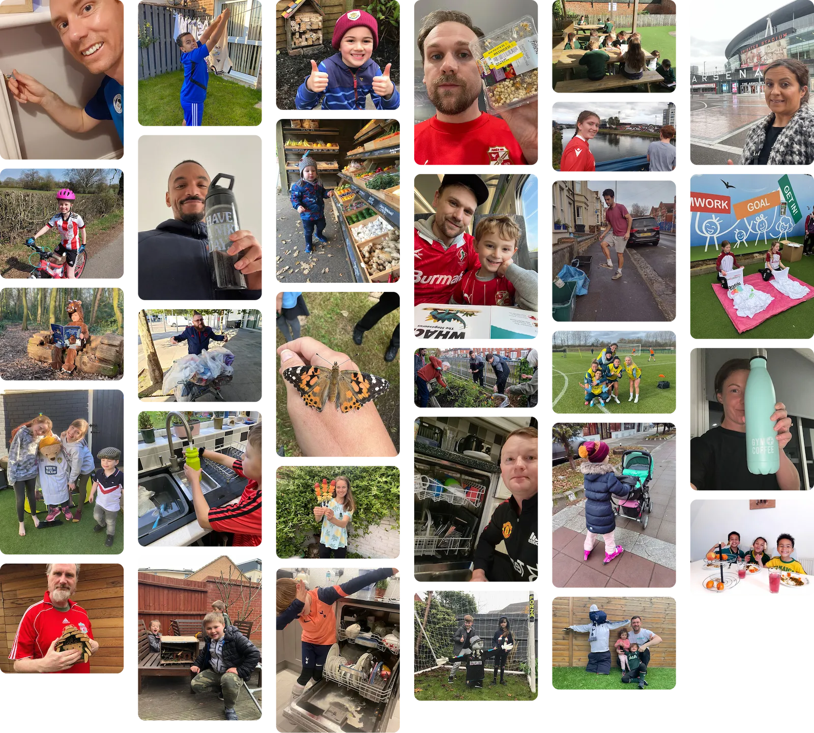 Collage of fans